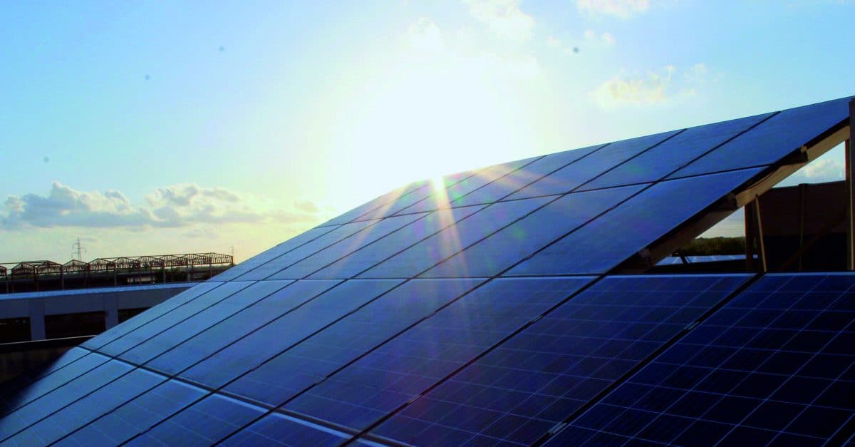 Sustainability in action